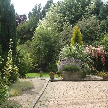 G1271 *